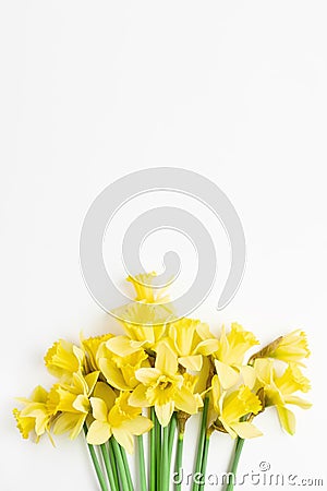 floral banner. beautiful bouquet of fresh daffodils of yellow color on a white background. simple holiday spring greeting card. Stock Photo