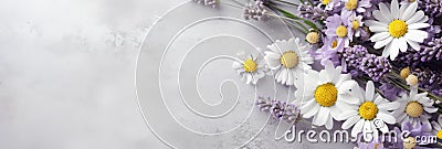 Floral border with daisies and lavender on a textured background, creative layout Stock Photo