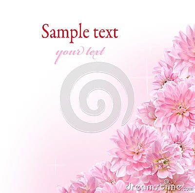 Floral border with pink Dahlia Stock Photo