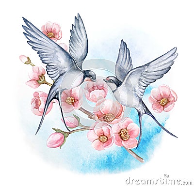 floral border Swallow witt flowers. Couple in love. Birds in flight isolated on white background. Watercolor Stock Photo