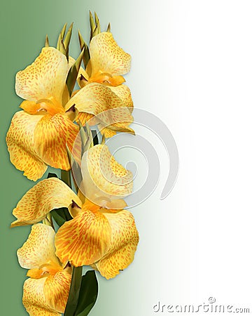 Floral Border yellow Canna lilies Cartoon Illustration