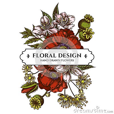Floral bouquet design with colored almond, poppy flower, tilia cordata Vector Illustration