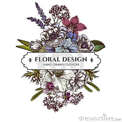 Floral bouquet design with colored anemone, lavender, rosemary everlasting, phalaenopsis, lily, iris Vector Illustration