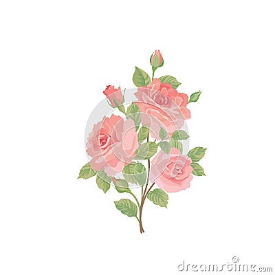 Floral bouquet isolated. Flower rose posy greeting card design element. Stock Photo