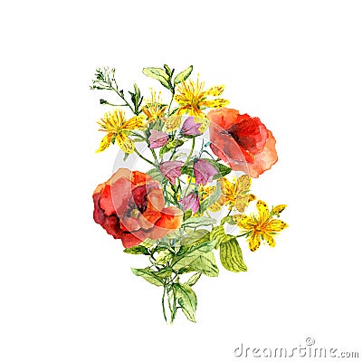 Floral bouquet, wild flowers poppies, hypericum, grass . Watercolor botanical illustration Cartoon Illustration