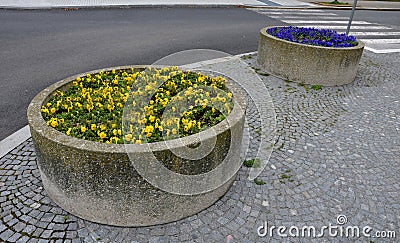 floral bowl flowerpot on city square orange and yellow shades Stock Photo