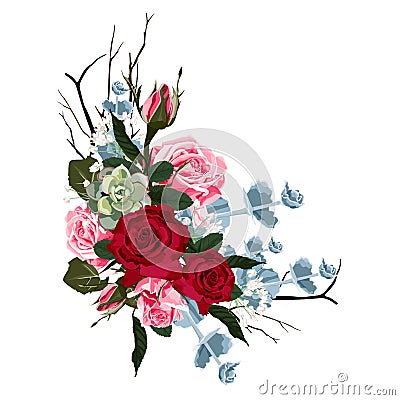 Floral branch. Flower red, burgundy rose, green leaves and succulents Vector Illustration