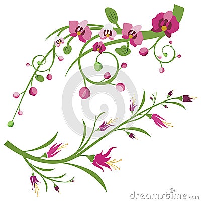 Floral branch series Vector Illustration