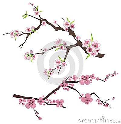 Floral branch series Vector Illustration