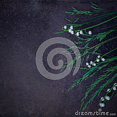 Floral bstract dark grunge background with Lily of the valley Stock Photo