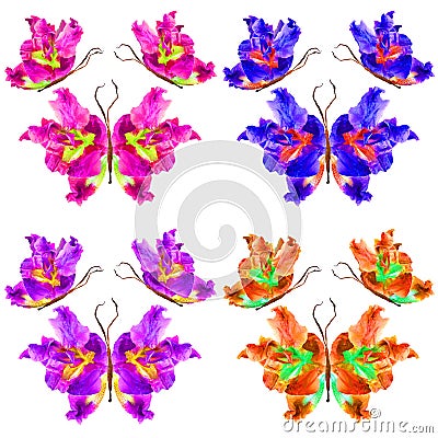 Floral butterfly made of lily petals leaves and flowers Stock Photo