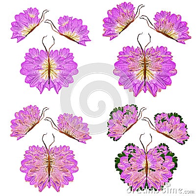 Floral butterfly made of lily petals leaves and flowers Stock Photo