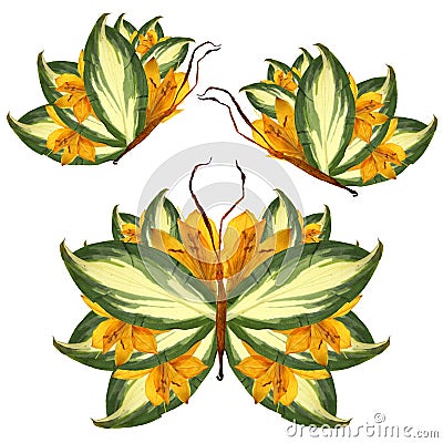 Floral butterfly made of lily petals leaves and flowers Stock Photo