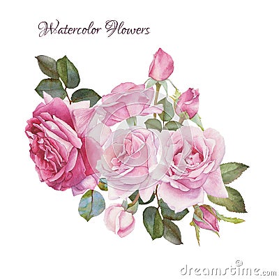 Floral card. Bouquet of watercolor roses. Stock Photo