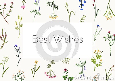 Floral card design with wild flower frame. Botanical herbal postcard template with spring herbs, wildflowers, meadow and Vector Illustration