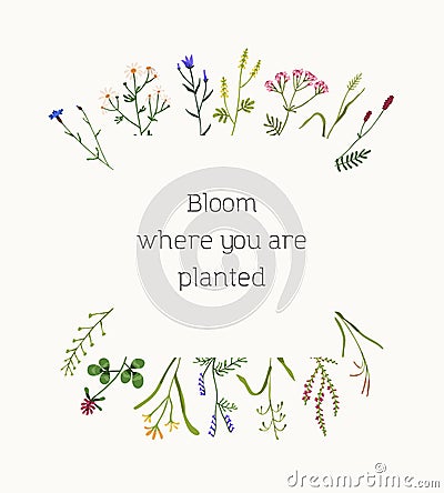 Floral card design with wild flowers, field herbal plants. Botanical postcard template with delicate pretty meadow herbs Vector Illustration