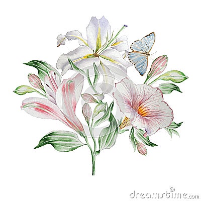 Floral card with flowers. Lilia. Alstroemeria. Butterfly. Watercolor illustration. Cartoon Illustration