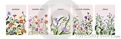 Floral cards with spring meadow flowers, field blossomed plants. Romantic botanical backgrounds set, floristic story Vector Illustration