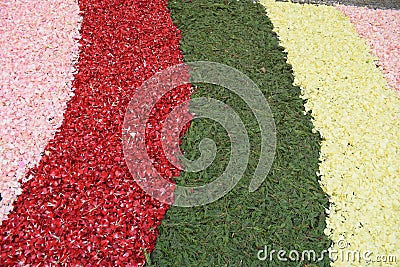 Floral carpet detail, festivity of the corpus christi religious, Spain Stock Photo