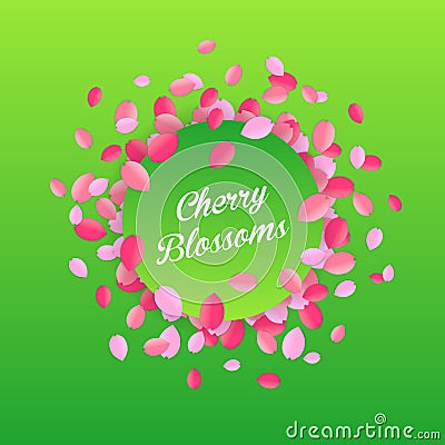 Floral cherry blossom petals frame vector illustration Vector Illustration