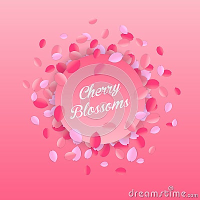 Floral cherry blossom petals frame vector illustration Vector Illustration