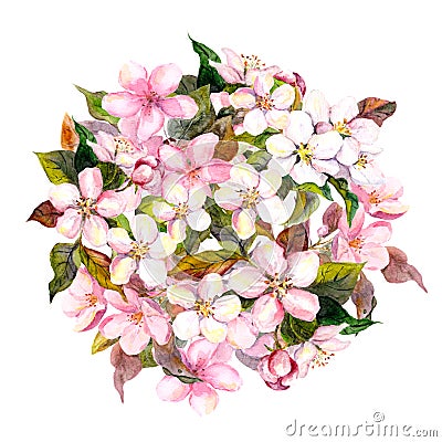 Floral circle, pink flowers - apple, cherry, sakura blossom. Watercolor Stock Photo