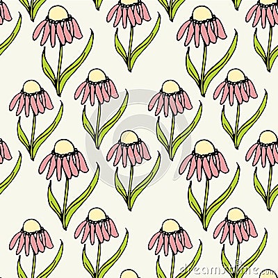 Floral colorful echinacea endless pattern, hand drawn seamless background ink graphic art design elements Vector Illustration