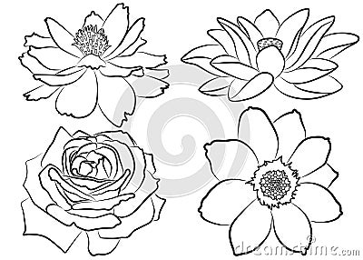 Floral coloring page Vector Illustration