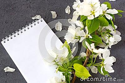 Floral composition.Concept of writing a romantic letter for Valentines day Stock Photo