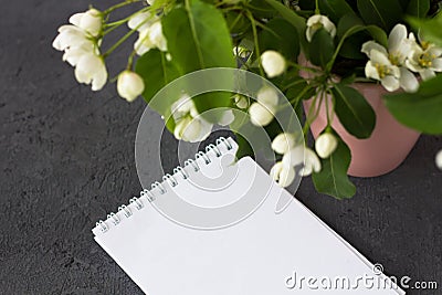 Floral composition on a spring day. Blossoming branches of apple tree Stock Photo