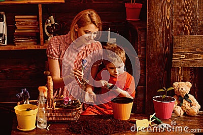 Floral concept. Little son help mother planting flowers in pot, floral decor. Mother and child work on floral Stock Photo