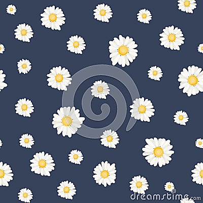 Floral daisy chamomile botanical seamless pattern Vector Illustration