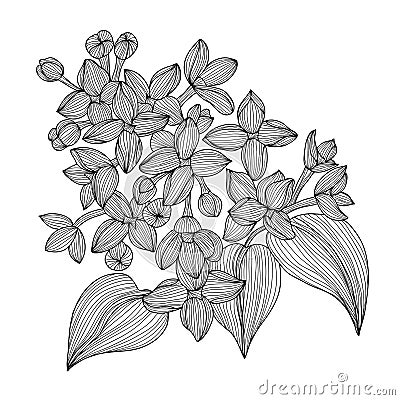 Floral decoration Vector Illustration