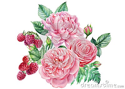 Floral decoration. Watercolor Bouquet. Raspberry, rose, leaves and peony flowers, botanical illustration Cartoon Illustration
