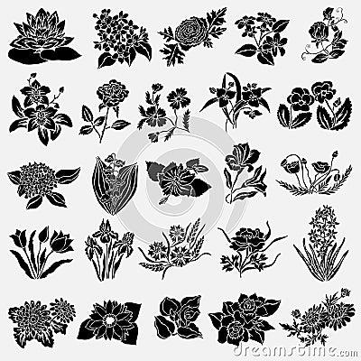 Floral decorations set Vector Illustration