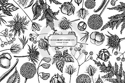 Floral design with black and white astilbe, craspedia, blue eryngo, lagurus, cotton, gypsophila Vector Illustration