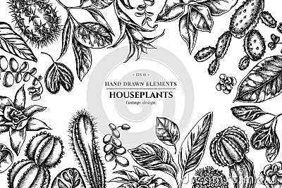 Floral design with black and white ficus, iresine, kalanchoe, calathea, guzmania, cactus Vector Illustration