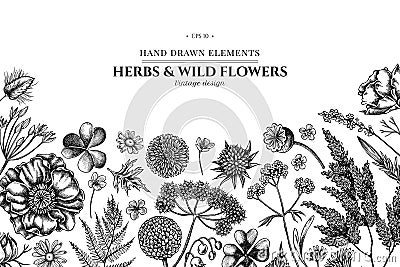 Floral design with black and white shepherd s purse, heather, fern, wild garlic, clover, globethistle, gentiana, astilbe Vector Illustration