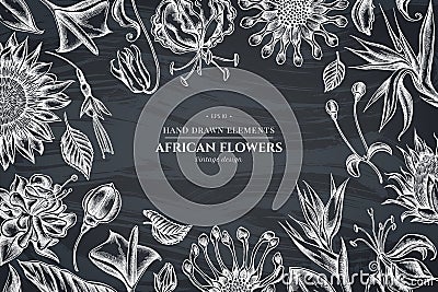 Floral design with chalk african daisies, fuchsia, gloriosa, king protea, anthurium, strelitzia Vector Illustration