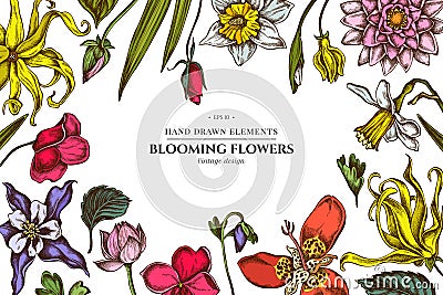 Floral design with colored ylang-ylang, impatiens, daffodil, tigridia, lotus, aquilegia Vector Illustration