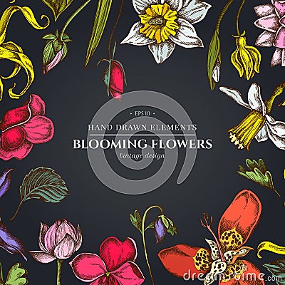 Floral design on dark background with ylang-ylang, impatiens, daffodil, tigridia, lotus, aquilegia Vector Illustration