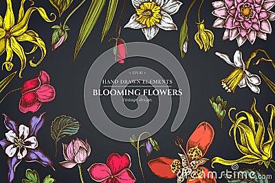 Floral design on dark background with ylang-ylang, impatiens, daffodil, tigridia, lotus, aquilegia Vector Illustration