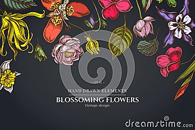 Floral design on dark background with ylang-ylang, impatiens, daffodil, tigridia, lotus, aquilegia Vector Illustration