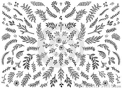 Floral design elements Vector Illustration