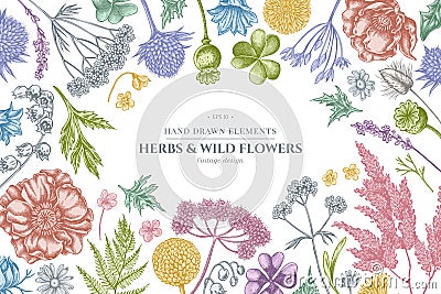 Floral design with pastel shepherd`s purse, heather, fern, wild garlic, clover, globethistle, gentiana, astilbe Vector Illustration