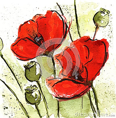 Floral Design with poppies Cartoon Illustration