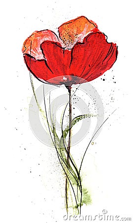 Floral Design with poppy flower Cartoon Illustration