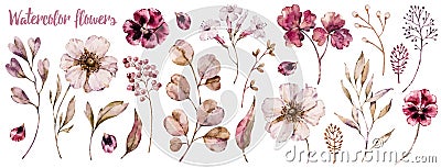 Floral elements collection, watercolor flower set Stock Photo