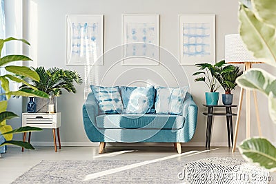 Floral flat interior with posters Stock Photo