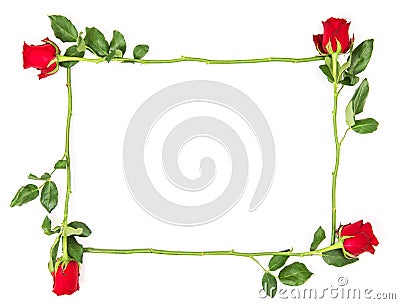 Floral flat lay Red Roses isolated white background Flower frame Stock Photo